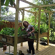 Picture 002
